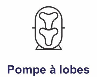 pompe a lobes